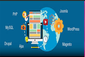 CERTIFICATE IN PHP & WORD PRESS